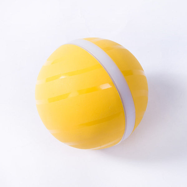 LED Interactive Pet Ball