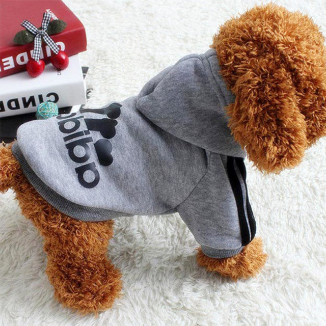 Dog Sweatshirt