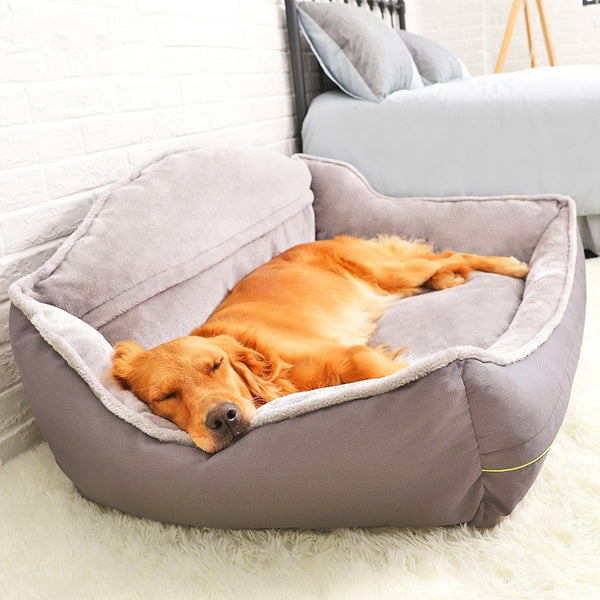 Big Dog Bed