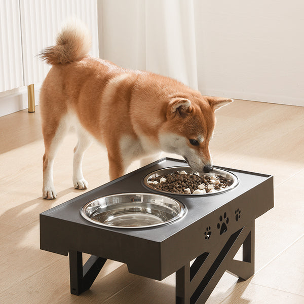 Stainless Steel Pet Bowl
