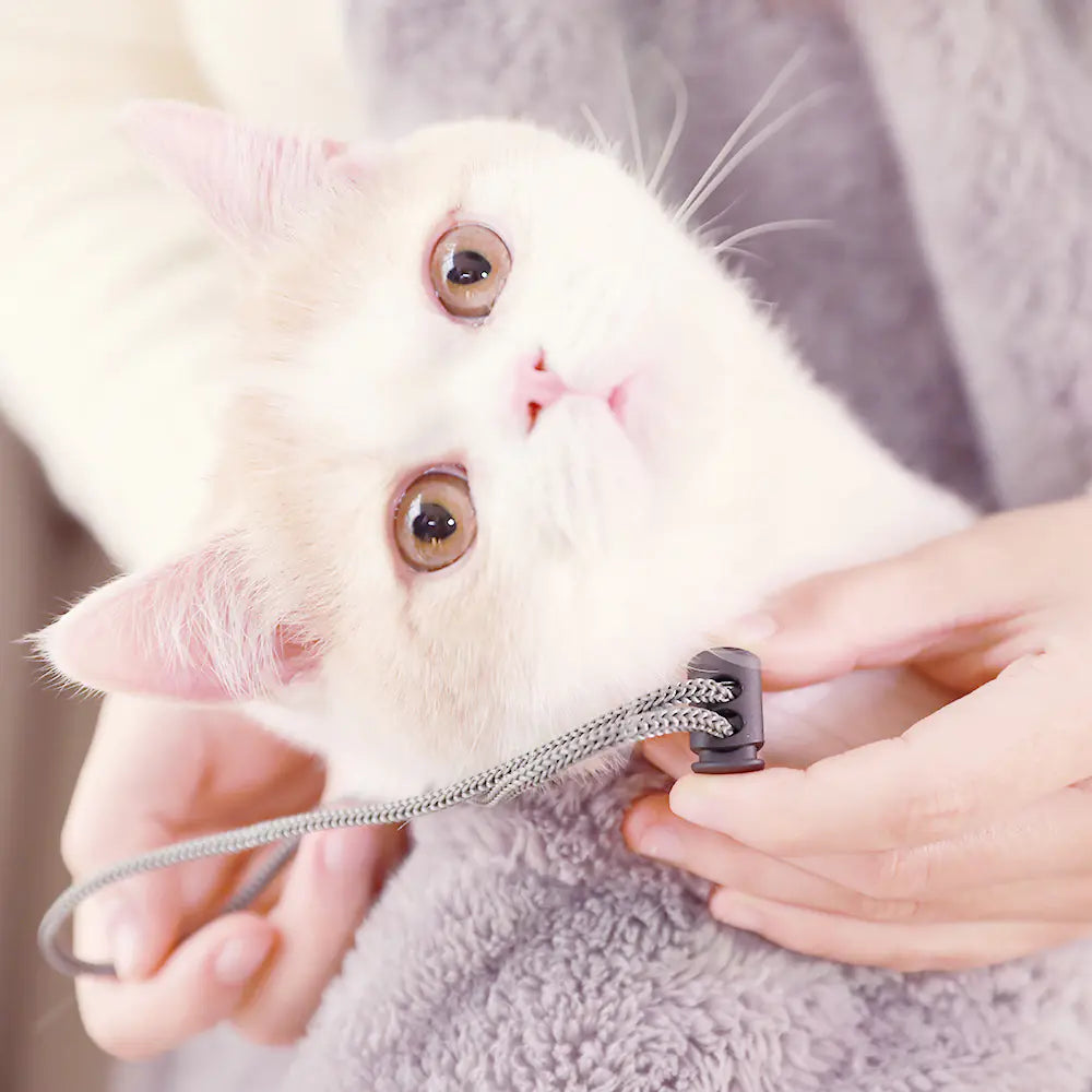 Creative Pet Backpack