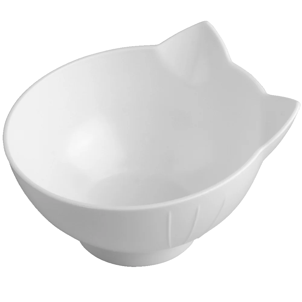 Double Pet Bowl with Raised Stand