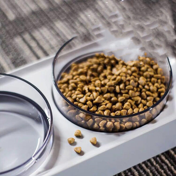 Hexagonal & Inclined Pet Bowl