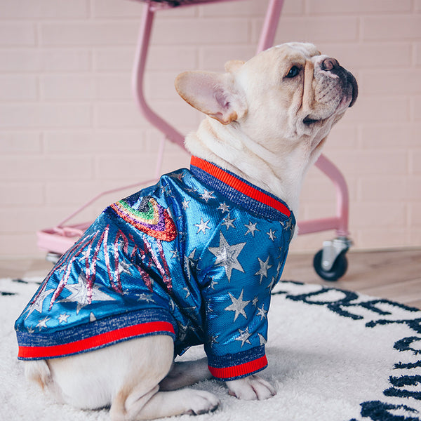 Dog Creative Clothes