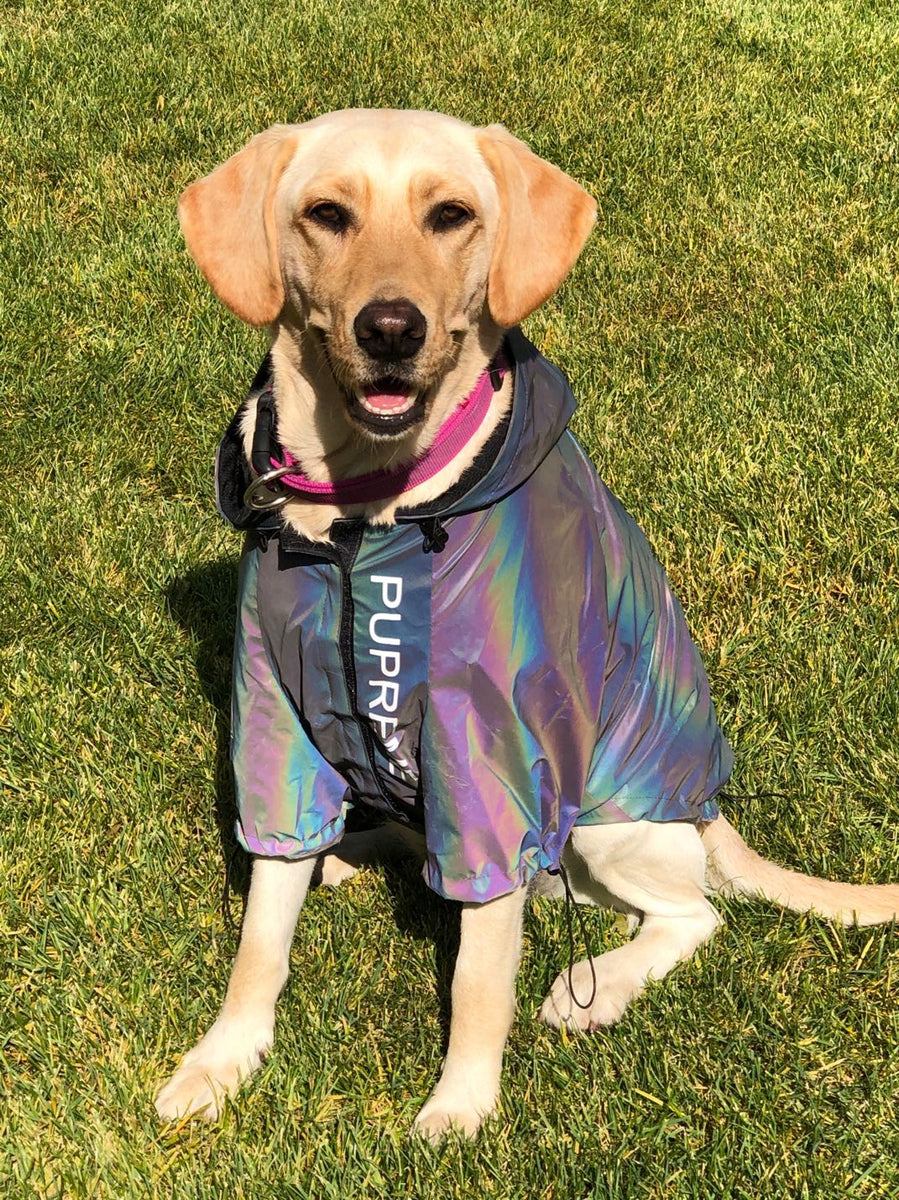 Microcrystalline Reflective Dog Clothes