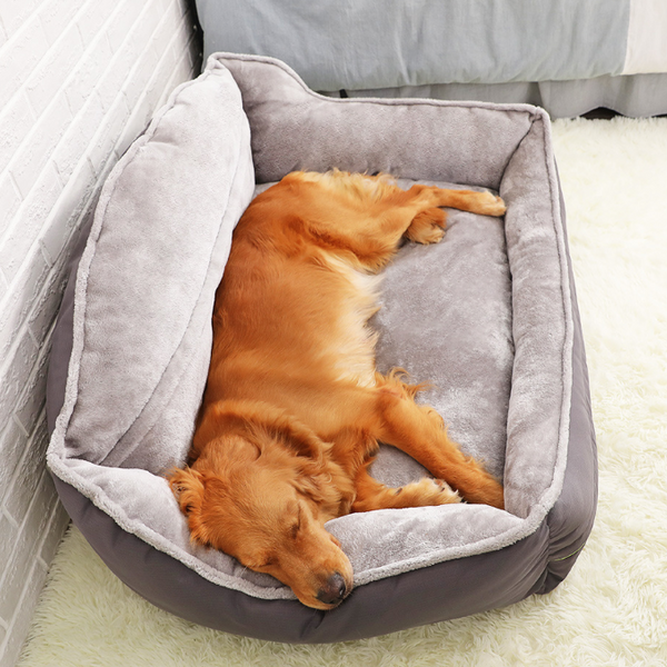 Big Dog Bed