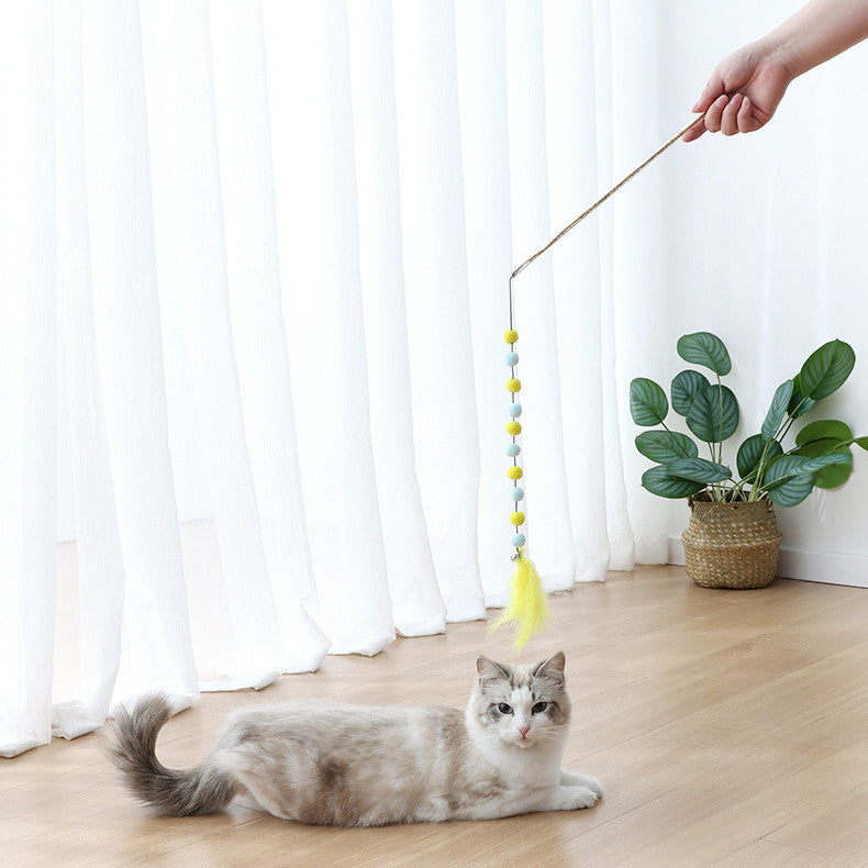 Cat Toy