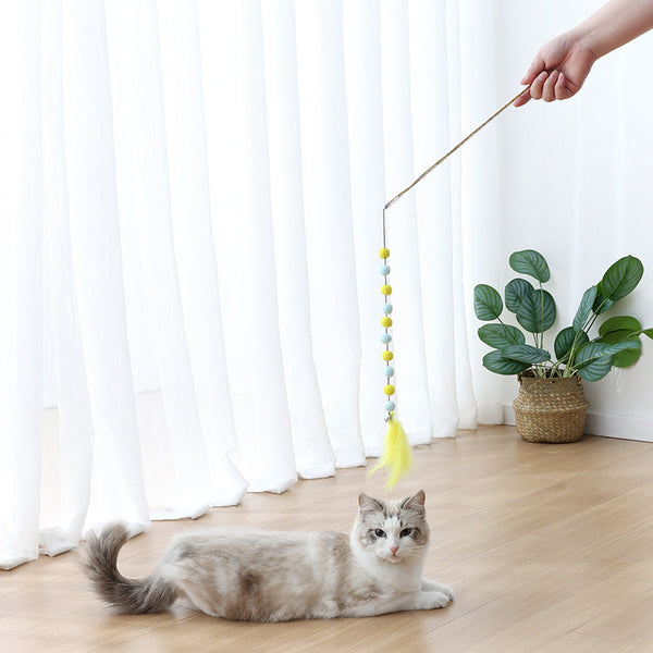 Cat Toy