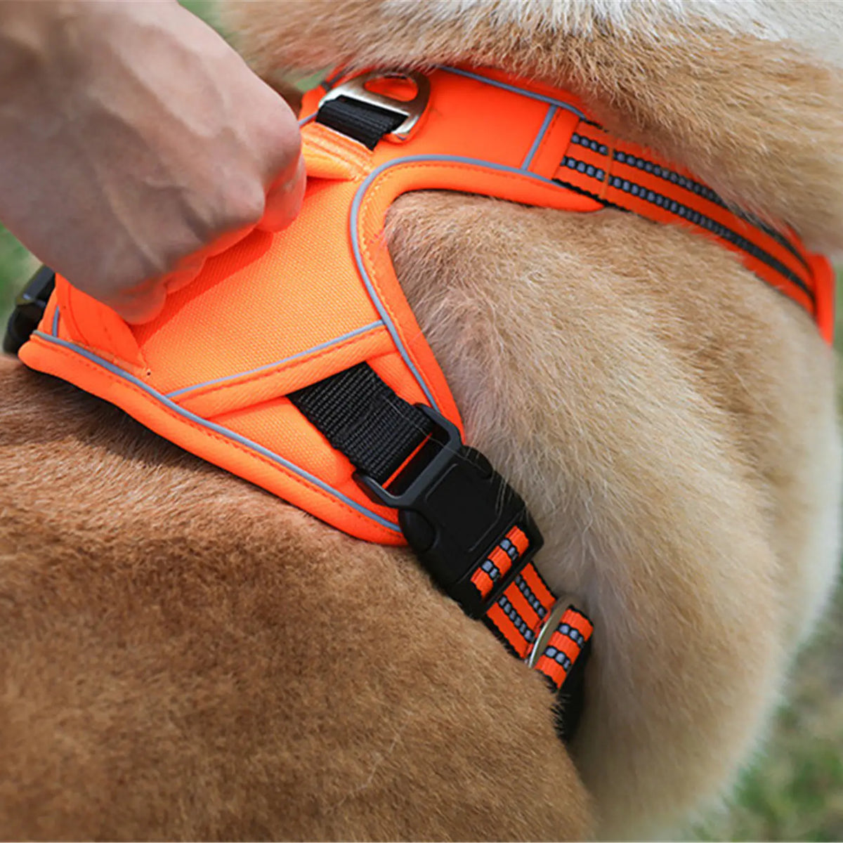 Durable Waterproof Pet Harness with Vertical Handle