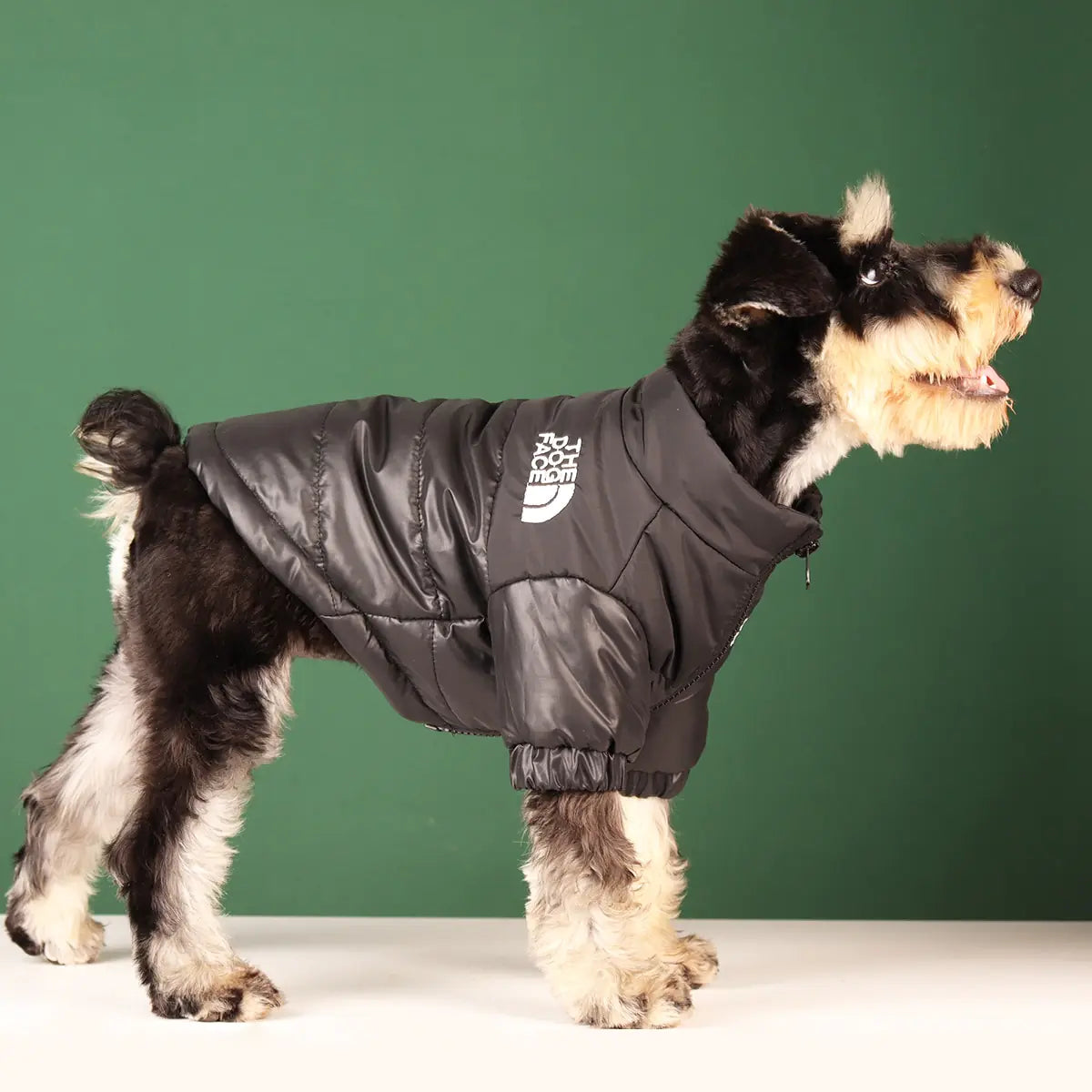 Warm Windproof Dog Coat