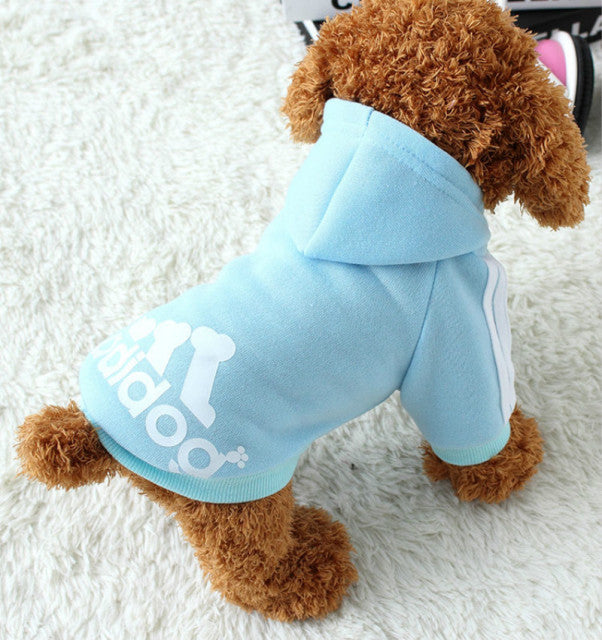 Dog Sweatshirt