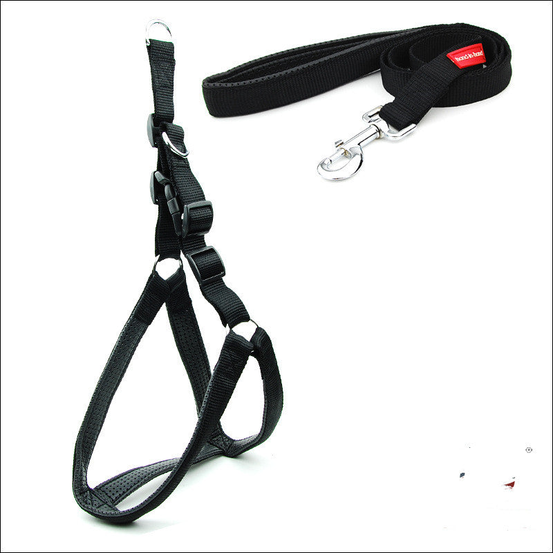 Dog Padded Harness & Leash
