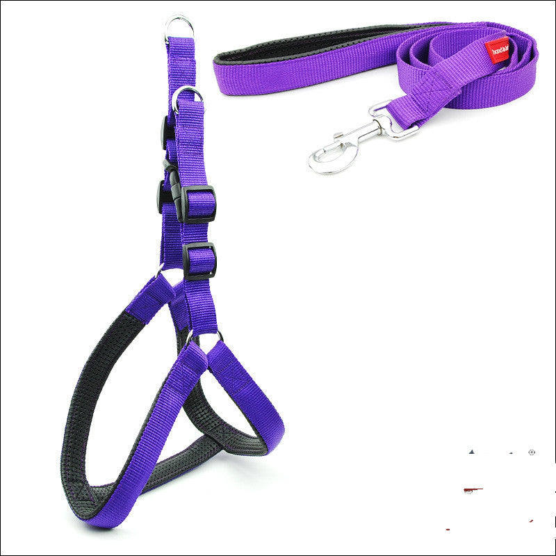 Dog Padded Harness & Leash