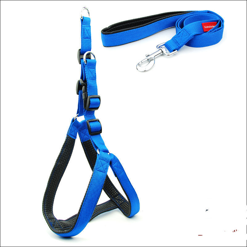 Dog Padded Harness & Leash