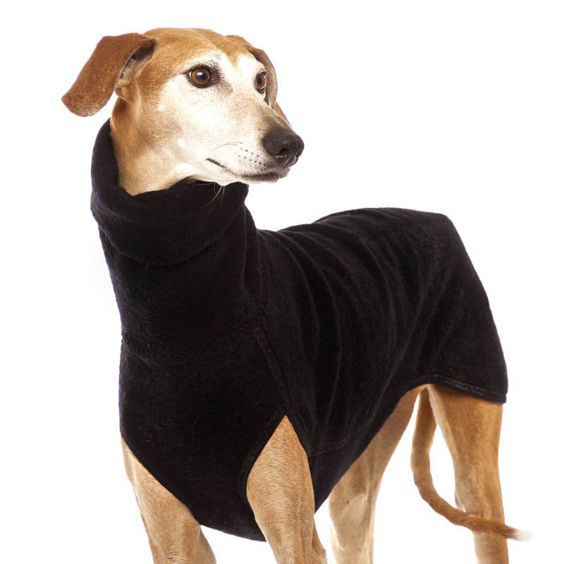Trendy Dog Clothes