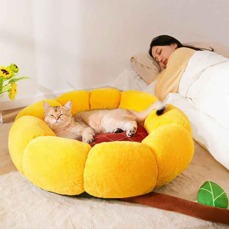 Cute Pet Nest