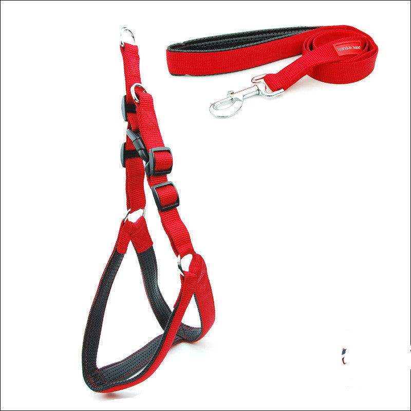 Dog Padded Harness & Leash