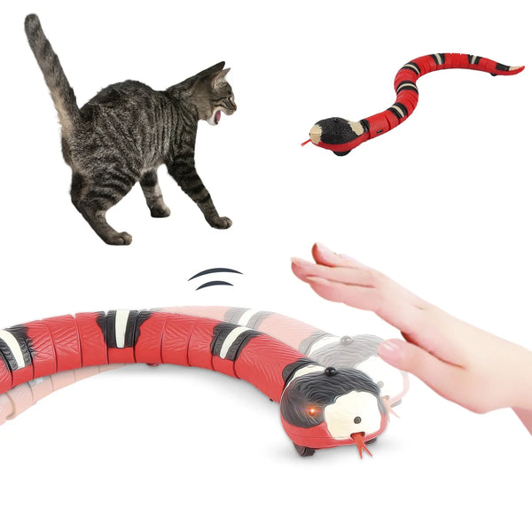 Electronic Snake Toy