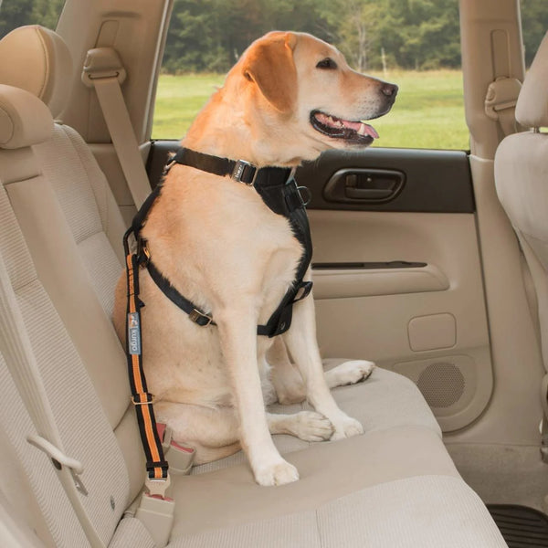 Pet Seatbelt