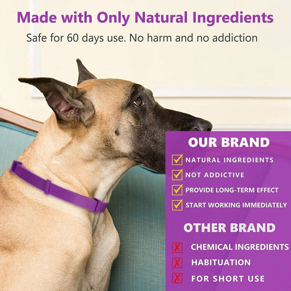 Pet Calm & Soothing Collar