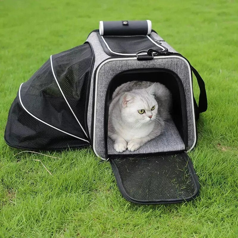 Foldable Pet Carrier Bag
