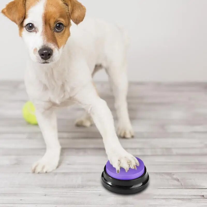 Voice Recorder Button For Pet