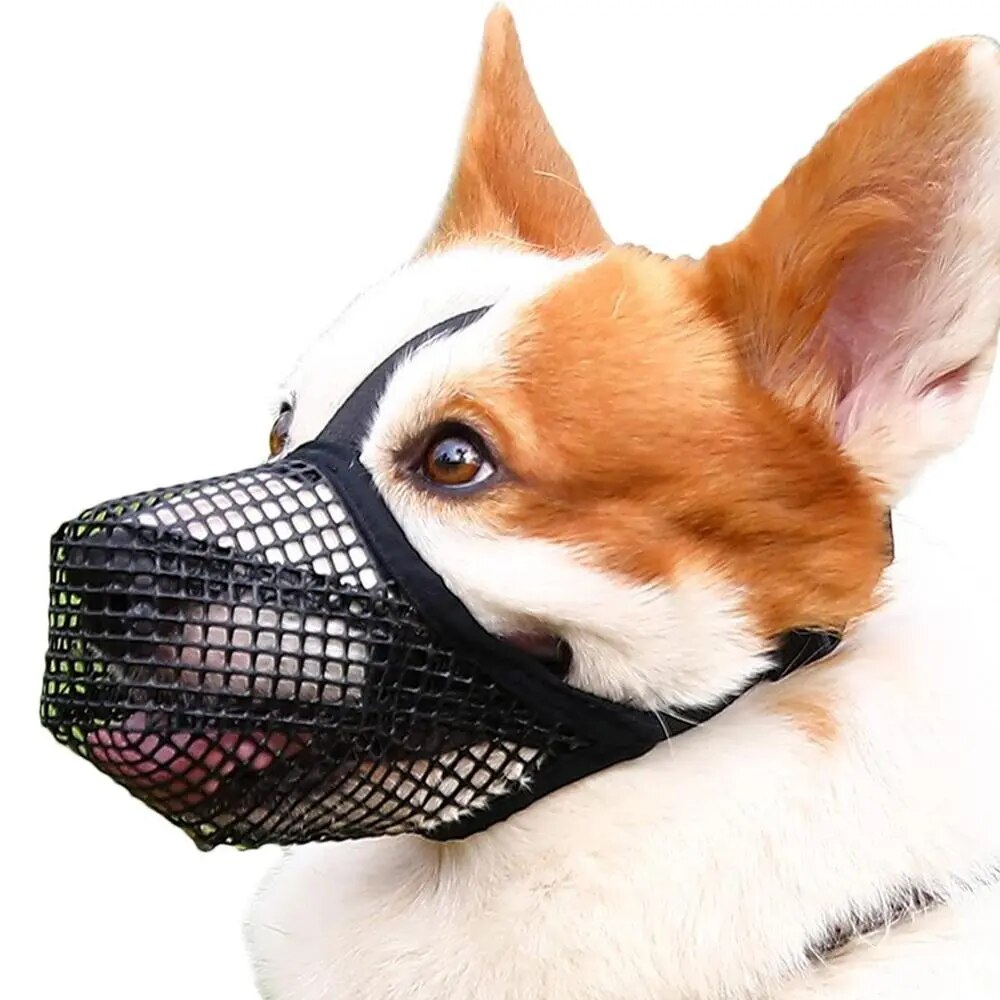 Dog Muzzle
