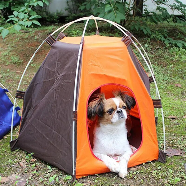 Dog Tent