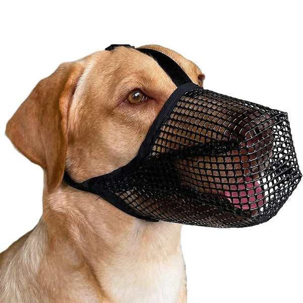Dog Muzzle