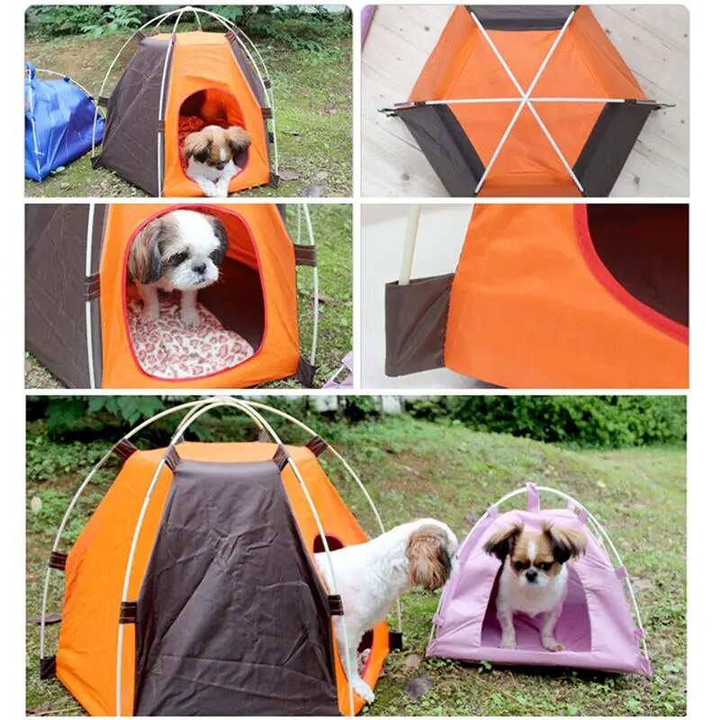 Dog Tent