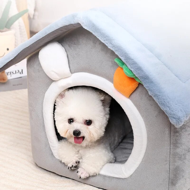 Indoor Dog House