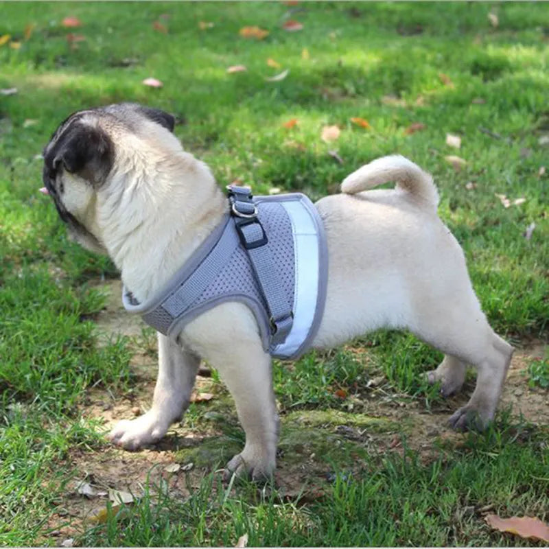 Vest Harness Dog Leash