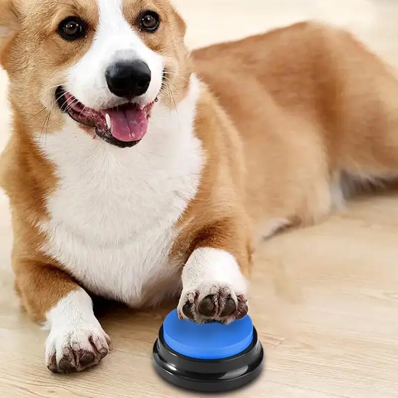 Voice Recorder Button For Pet