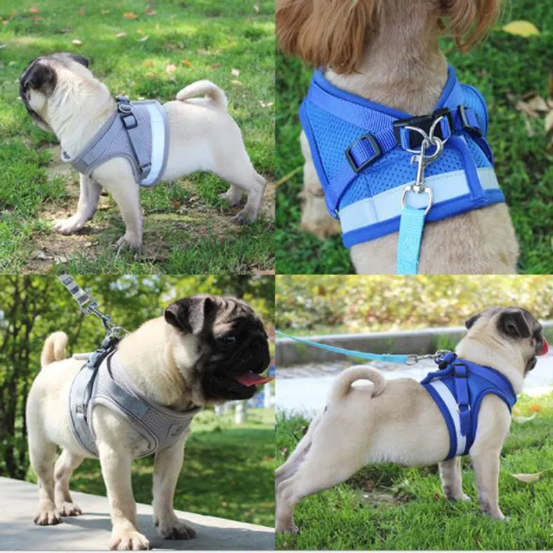 Vest Harness Dog Leash