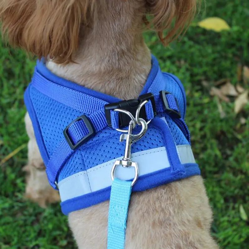 Vest Harness Dog Leash