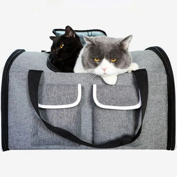 Pet Carrier
