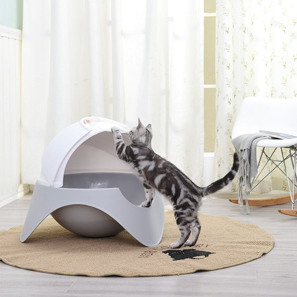 Cat Litter Box