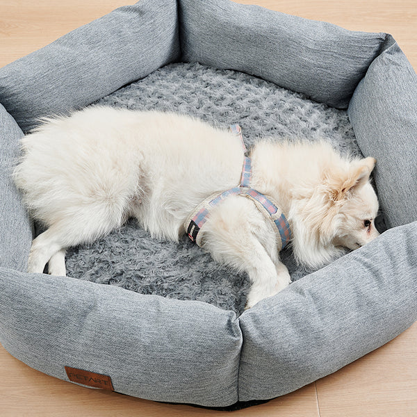 Dog Bed