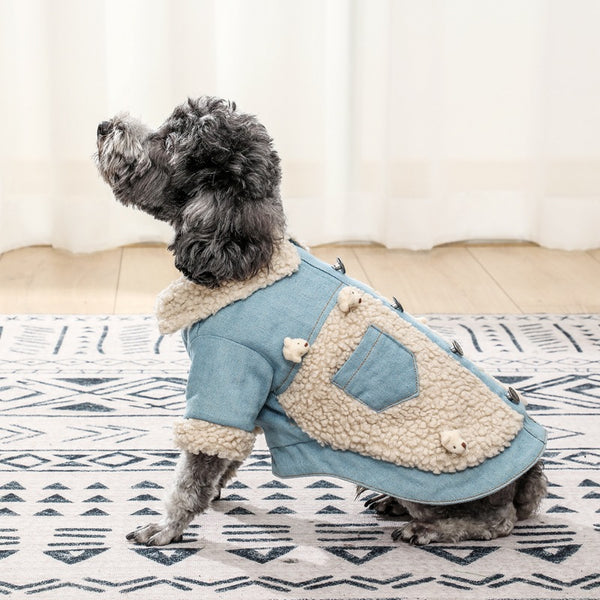 Teddy Dog Clothes