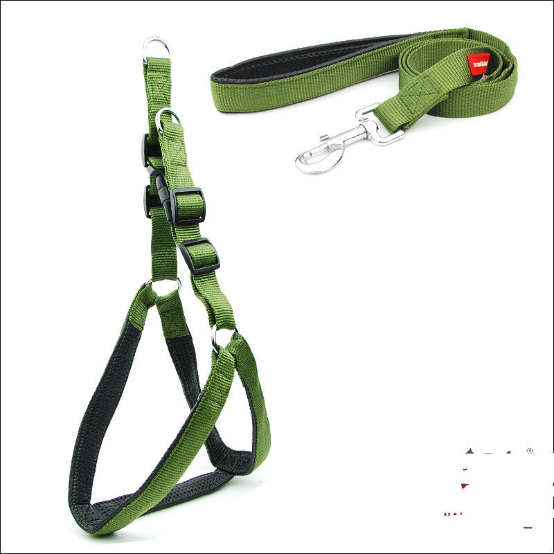 Dog Padded Harness & Leash