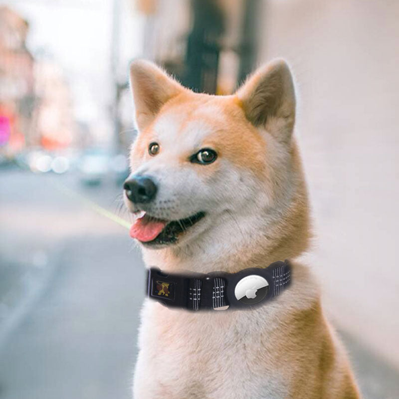 Trackable Dog Collar