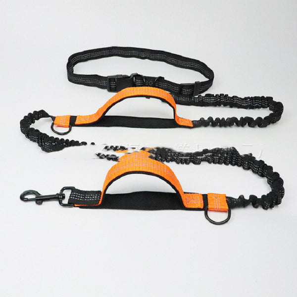 Pet Body Leash
