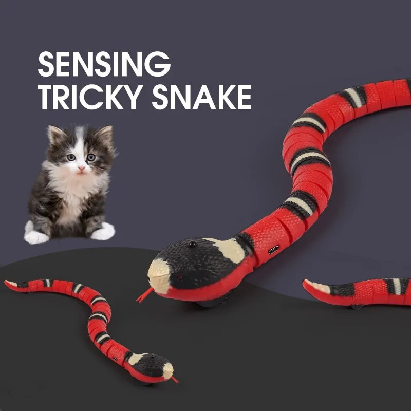 Electronic Snake Toy