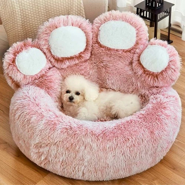 Pet Bear Paw Shaped Bed