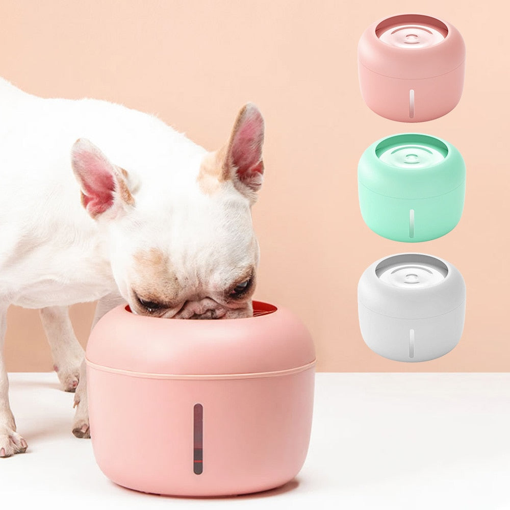 Active-Filter Water Drinking Bowl