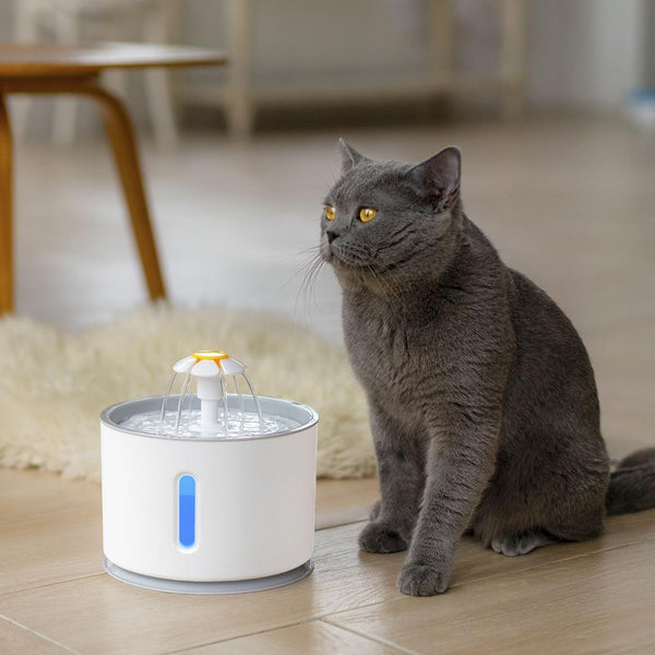 Pet Water Fountain