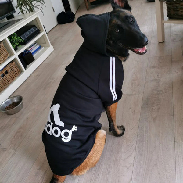 Dog Sweatshirt