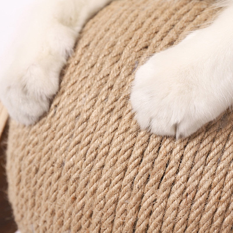 Interactive Cat Scratcher